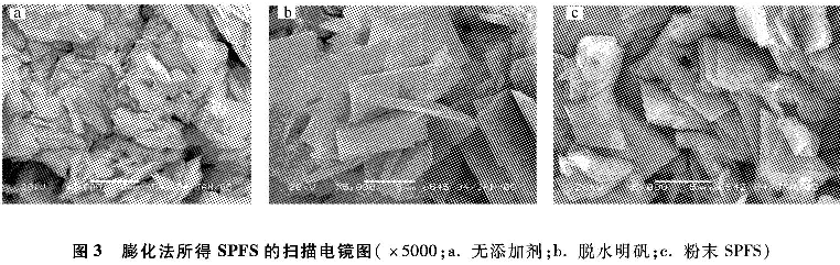 圖3 膨化法所得固體聚合硫酸鐵的掃描電鏡圖